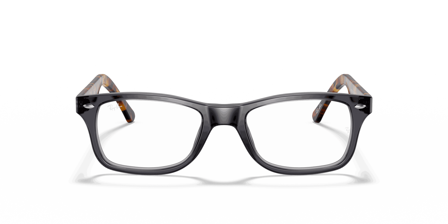 [Clear Lenses, Polished Grey Frame]