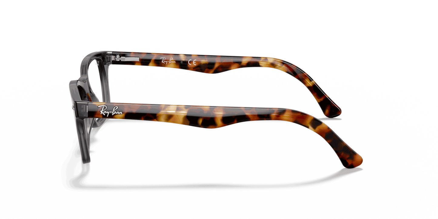 [Clear Lenses, Polished Grey Frame]