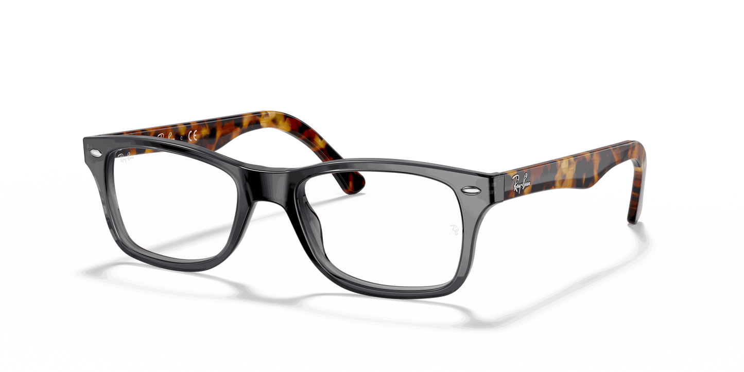 [Clear Lenses, Polished Grey Frame]