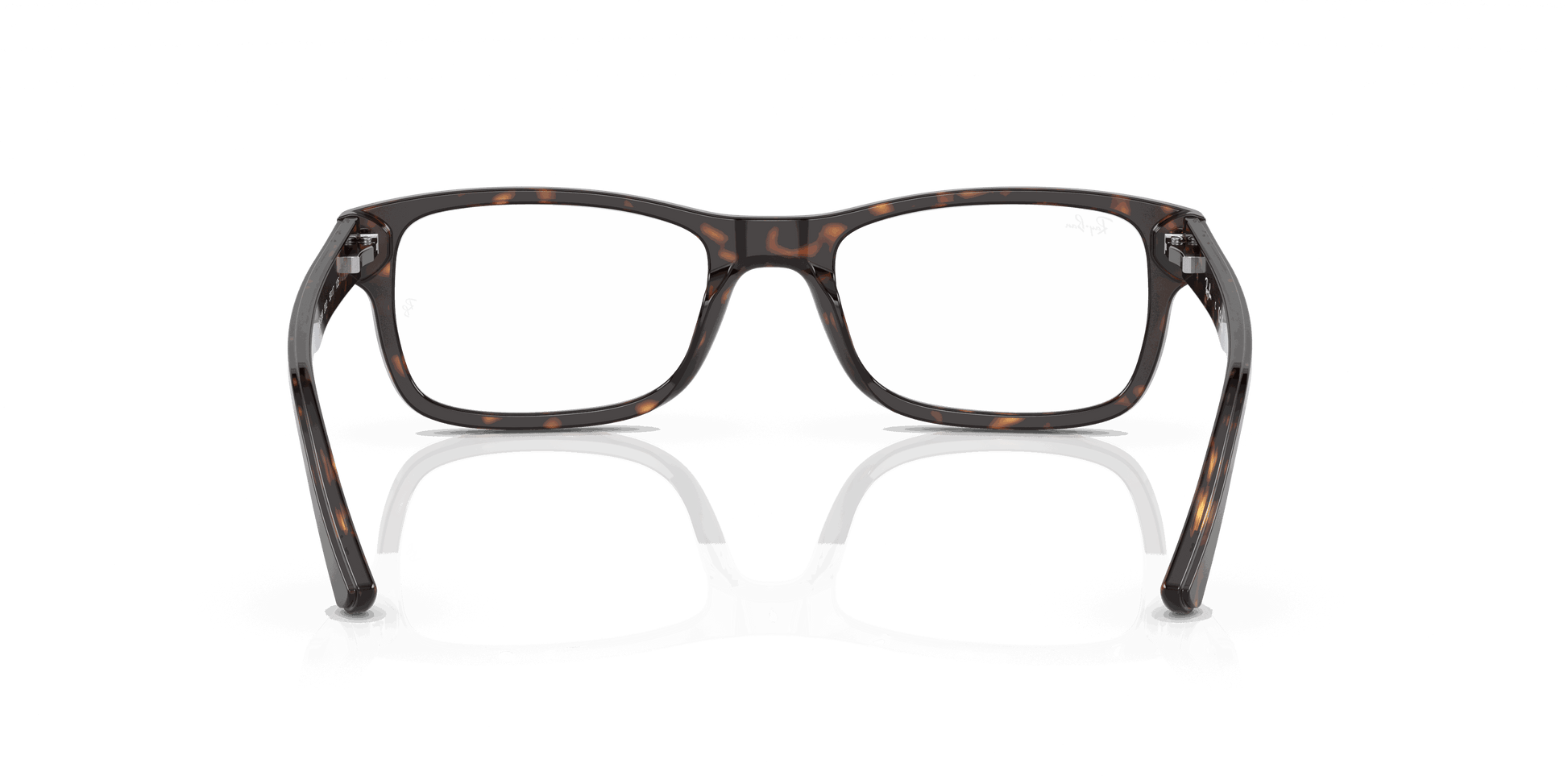 [Demo Lens Lenses, Polished Havana Frame]