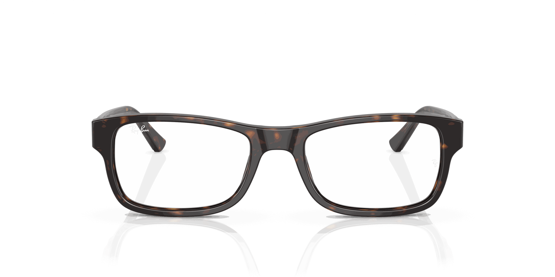 [Demo Lens Lenses, Polished Havana Frame]