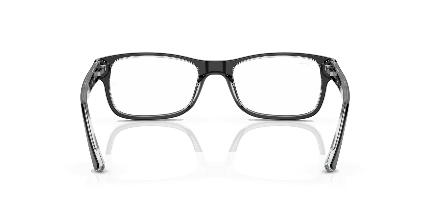[Clear Lenses, Polished Black On Transparent Frame]