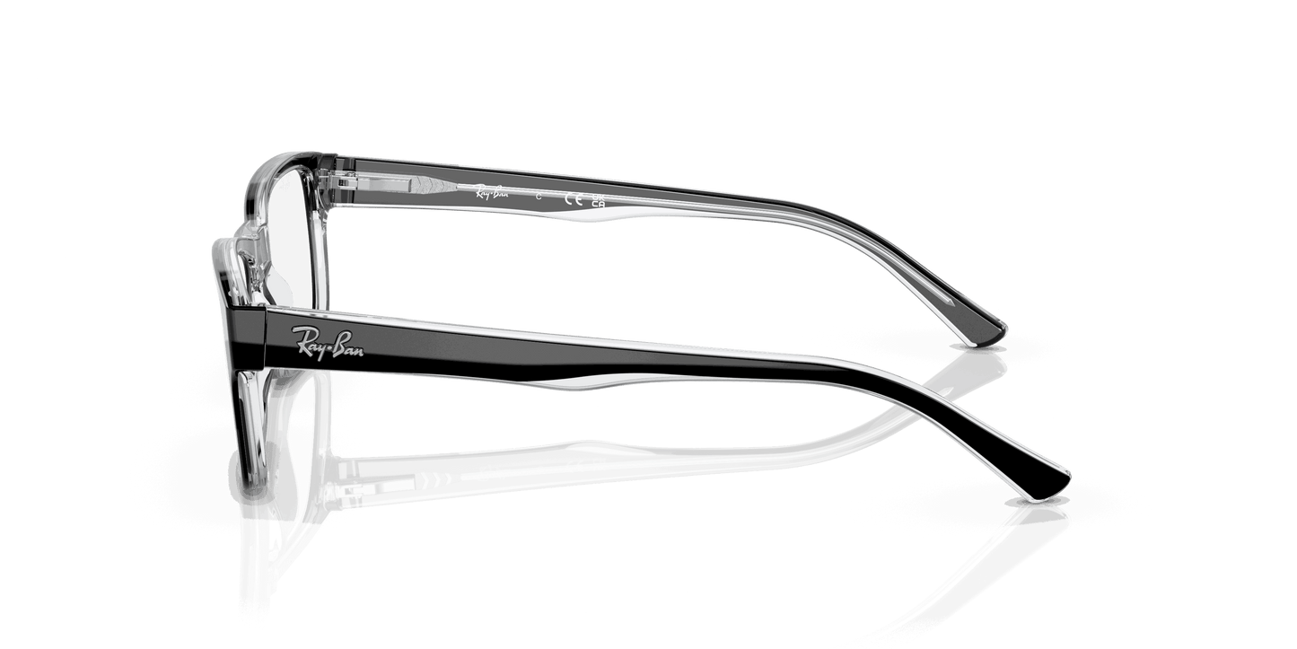 [Clear Lenses, Polished Black On Transparent Frame]