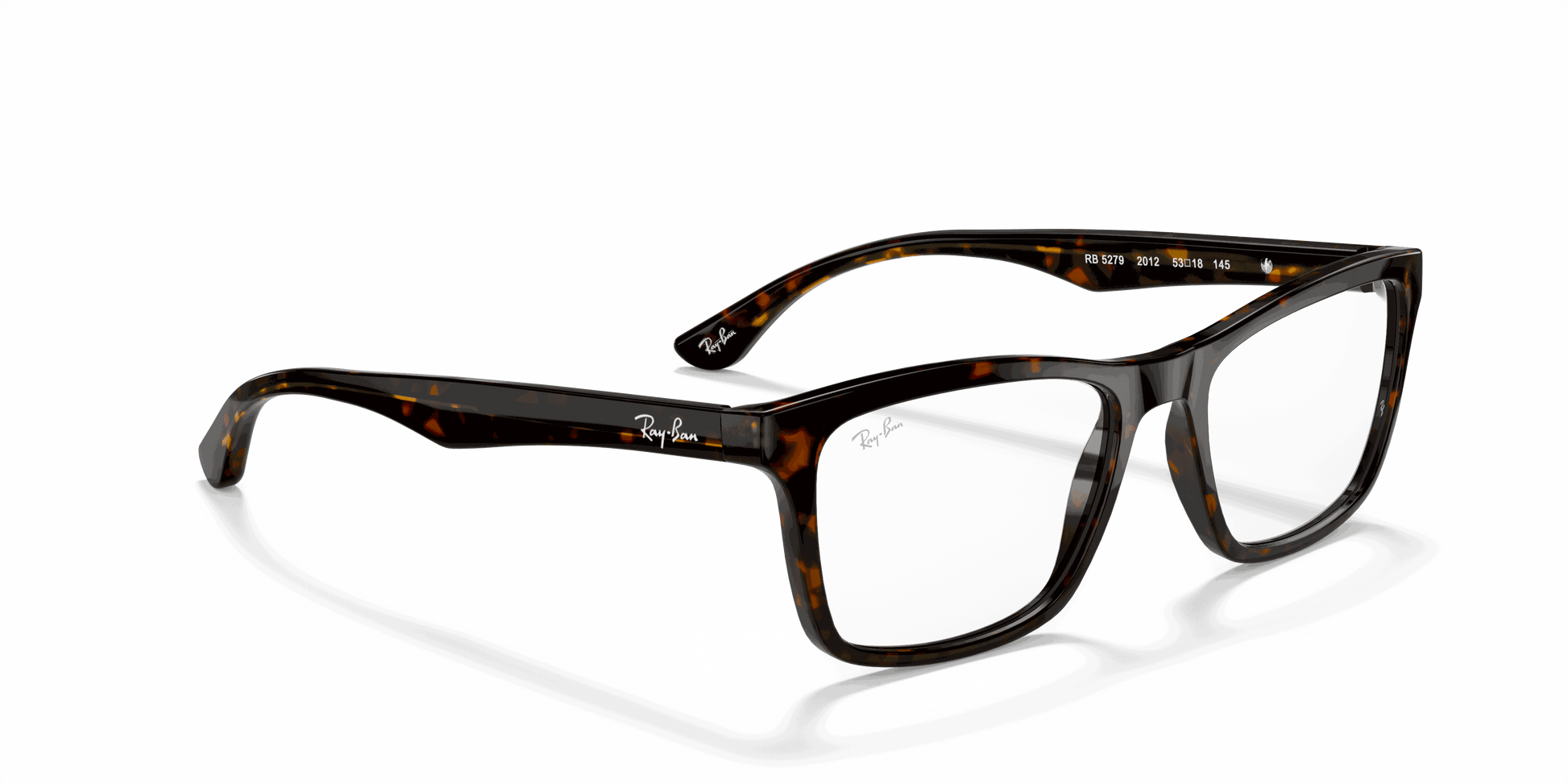 [Clear Lenses, Polished Dark Havana Frame]