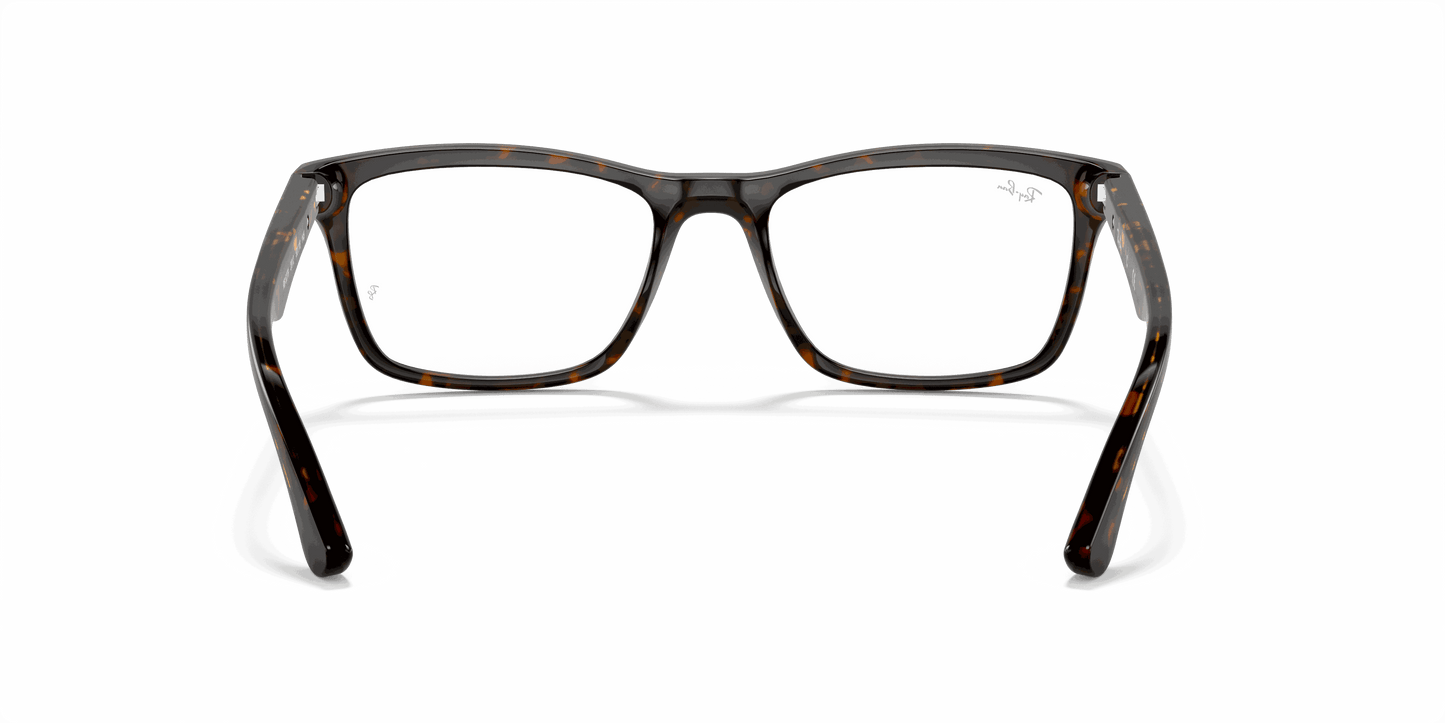 [Clear Lenses, Polished Dark Havana Frame]