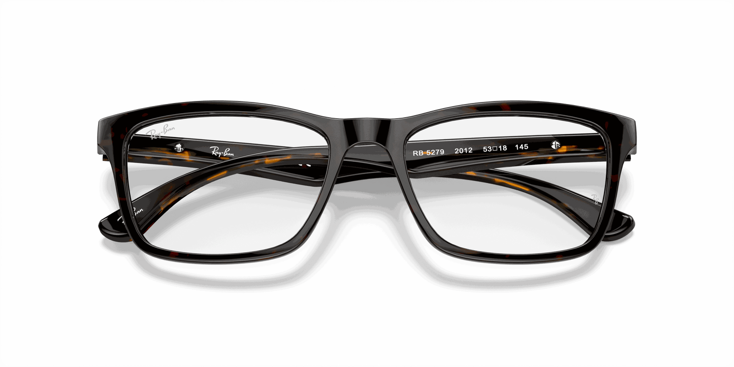 [Clear Lenses, Polished Dark Havana Frame]