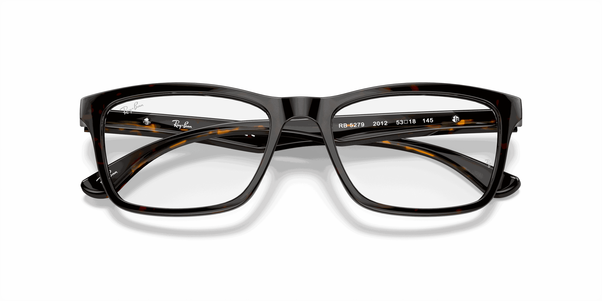 [Clear Lenses, Polished Dark Havana Frame]