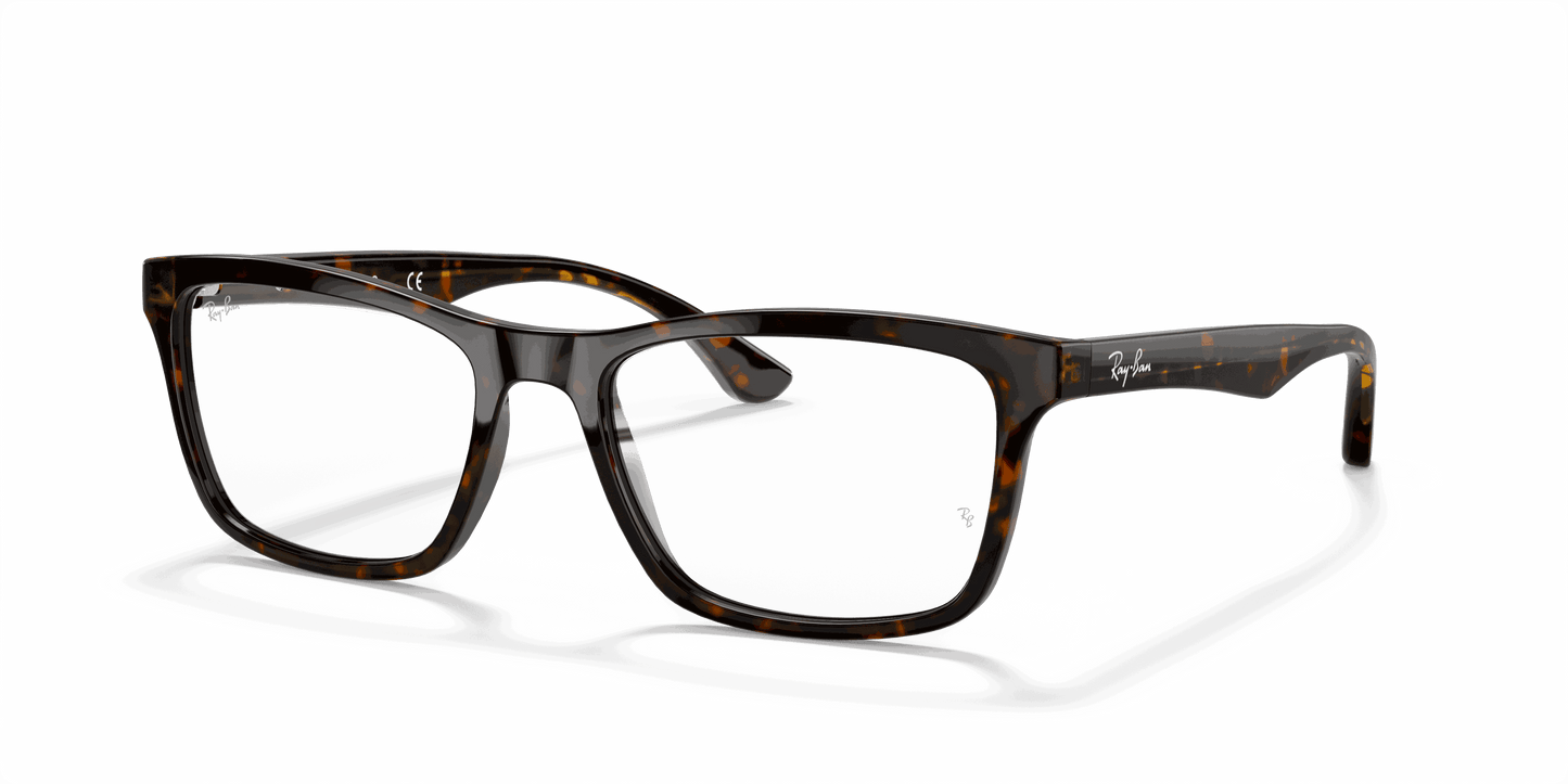 [Clear Lenses, Polished Dark Havana Frame]
