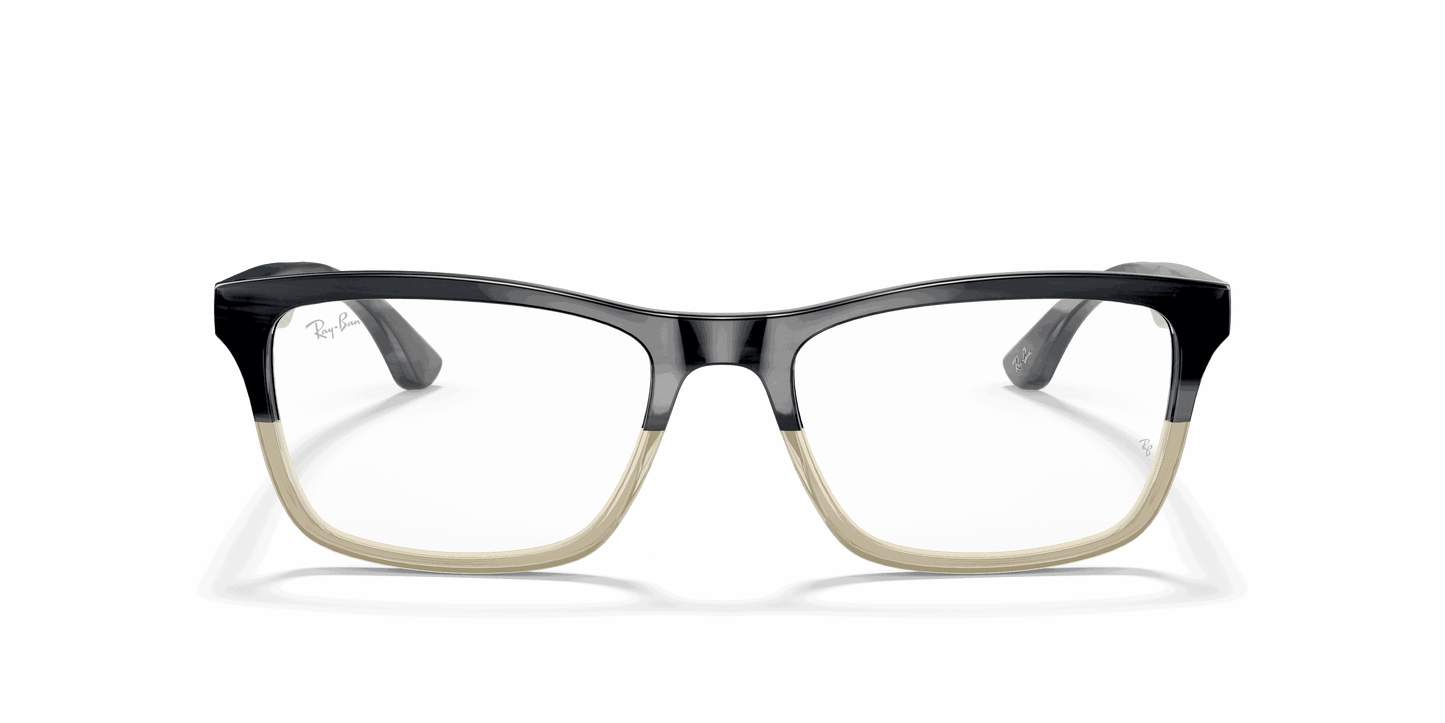 [Clear Lenses, Polished Grey Horn Frame]