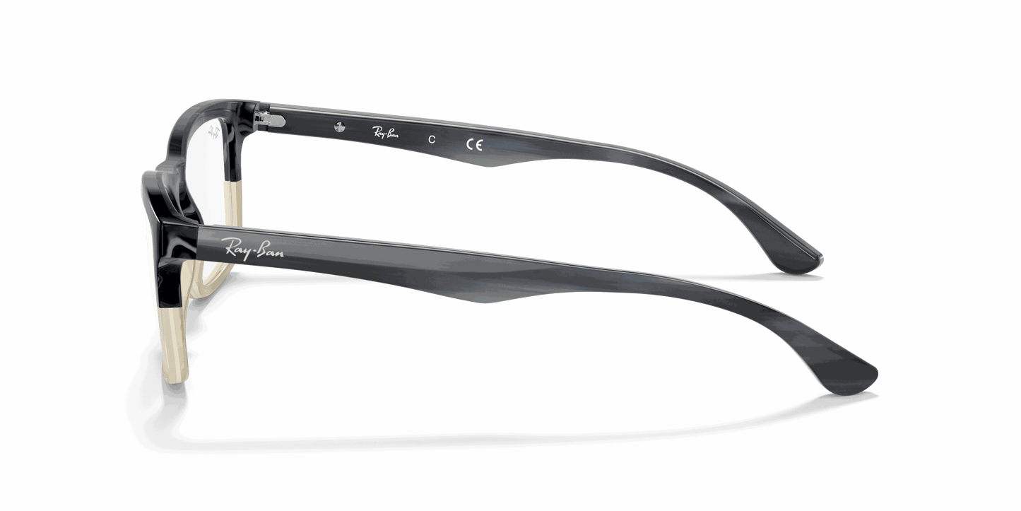 [Clear Lenses, Polished Grey Horn Frame]