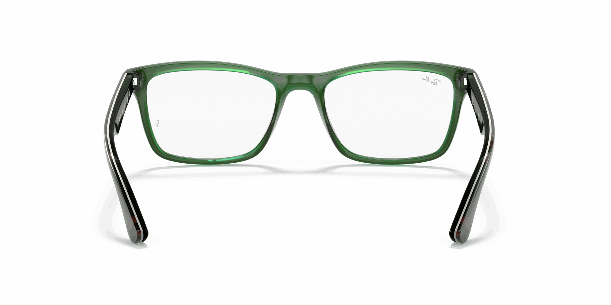 [Clear Lenses, Polished Havana On Transparent Green Frame]
