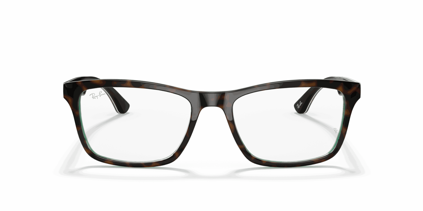 [Clear Lenses, Polished Havana On Transparent Green Frame]
