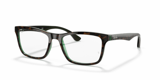 [Clear Lenses, Polished Havana On Transparent Green Frame]