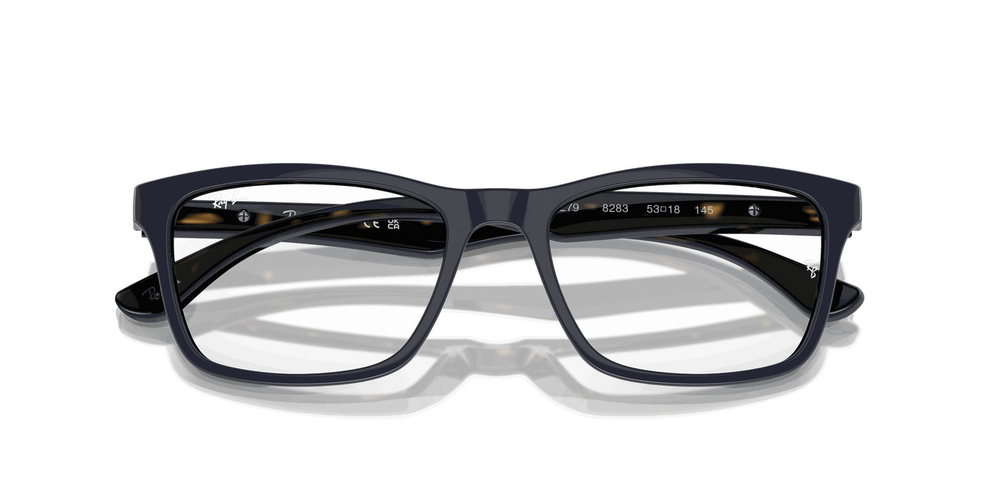 [Clear Lenses, Polished Blue On Havana Frame]