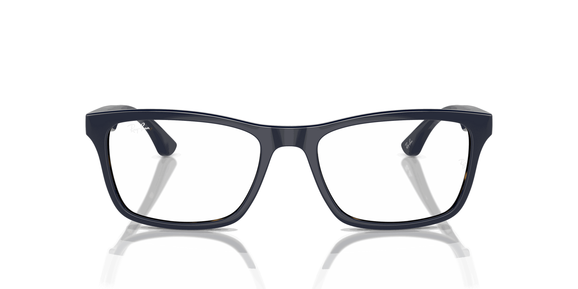 [Clear Lenses, Polished Blue On Havana Frame]