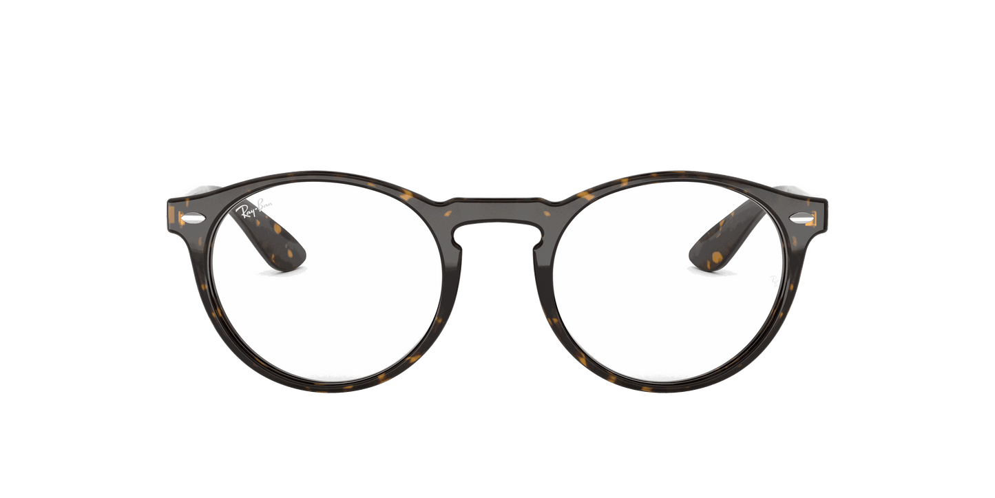 [Clear Lenses, Polished Dark Havana Frame]