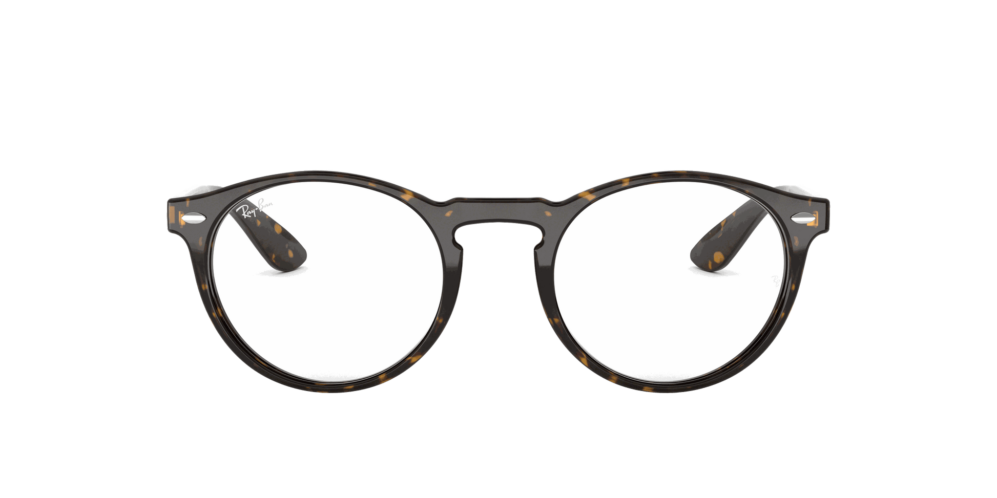 [Clear Lenses, Polished Dark Havana Frame]