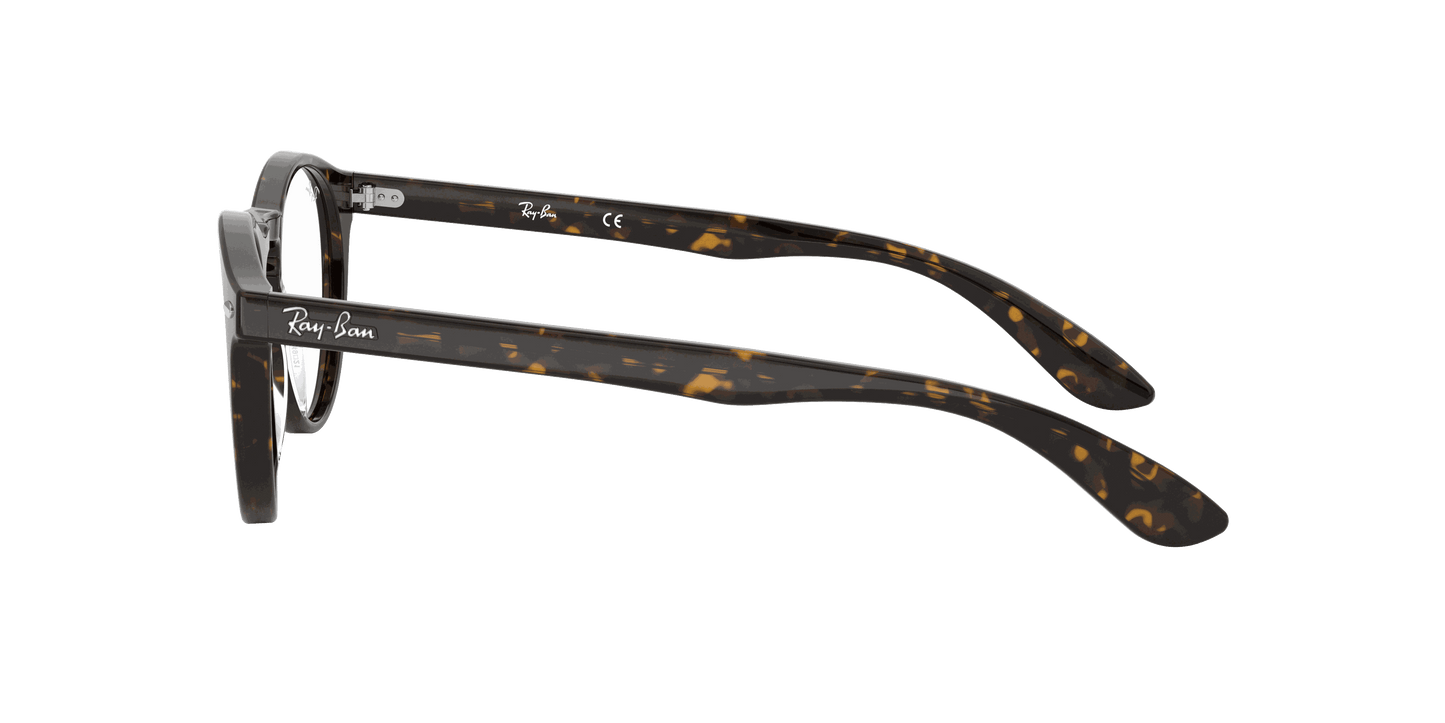[Clear Lenses, Polished Dark Havana Frame]