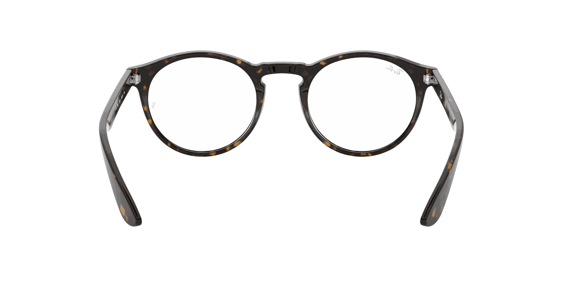 [Clear Lenses, Polished Dark Havana Frame]