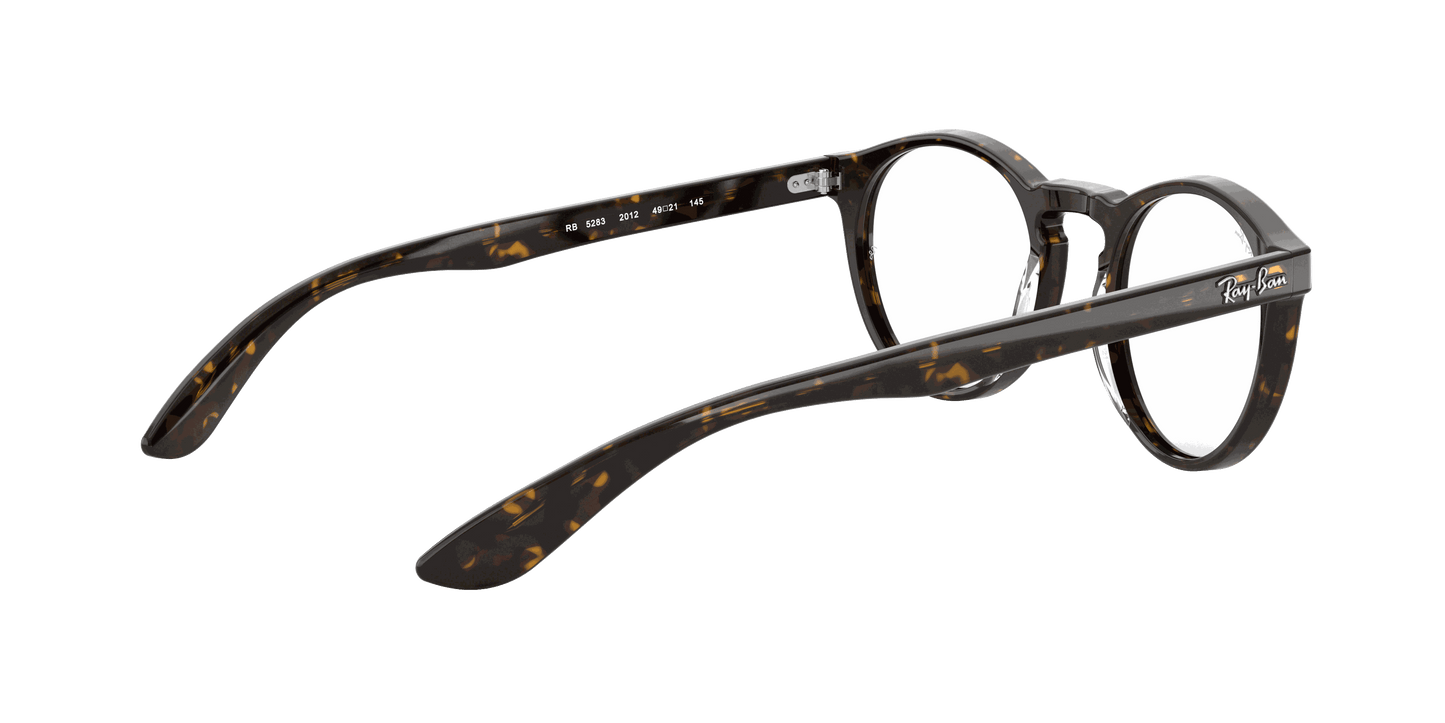 [Clear Lenses, Polished Dark Havana Frame]