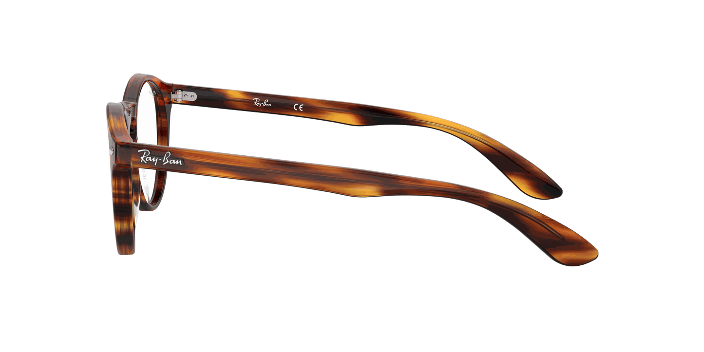 [Clear Lenses, Polished Striped Havana Frame]