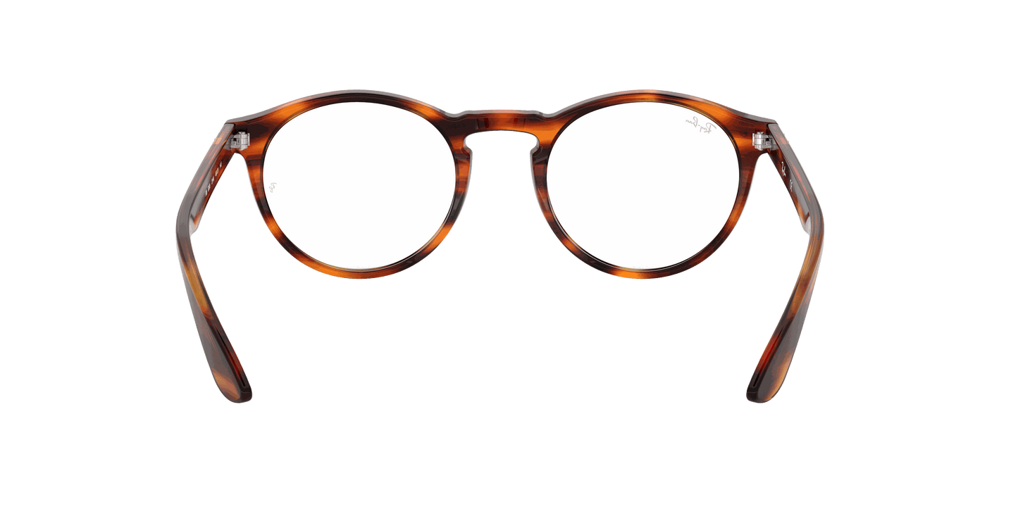 [Clear Lenses, Polished Striped Havana Frame]