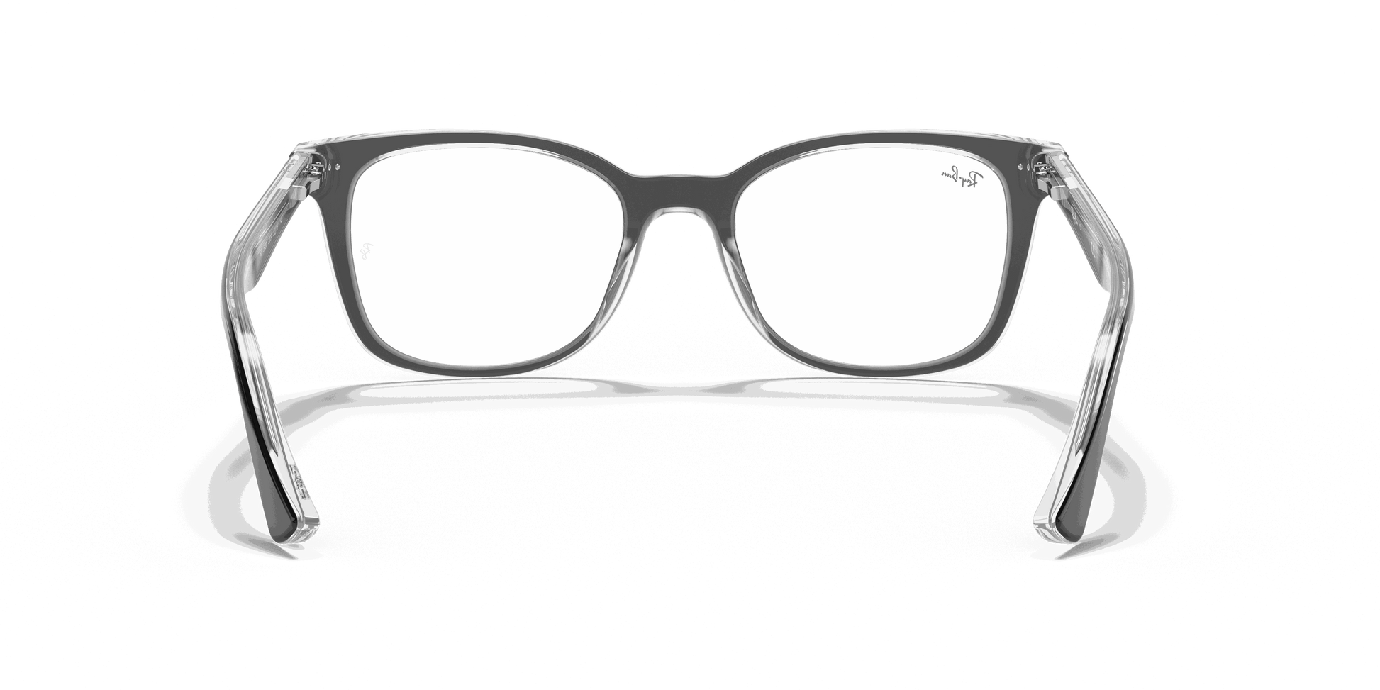 [Clear Lenses, Polished Black On Transparent Frame]