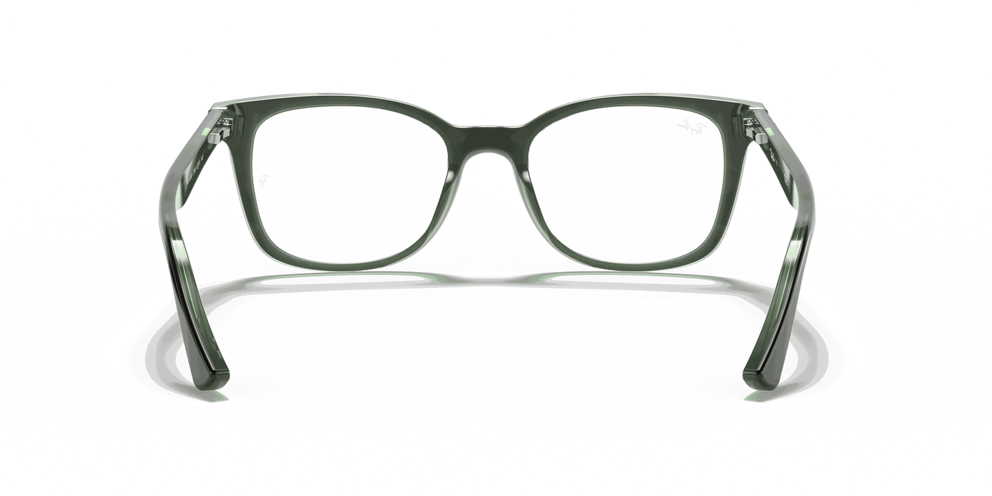 [Clear Lenses, Polished Havana On Green Frame]