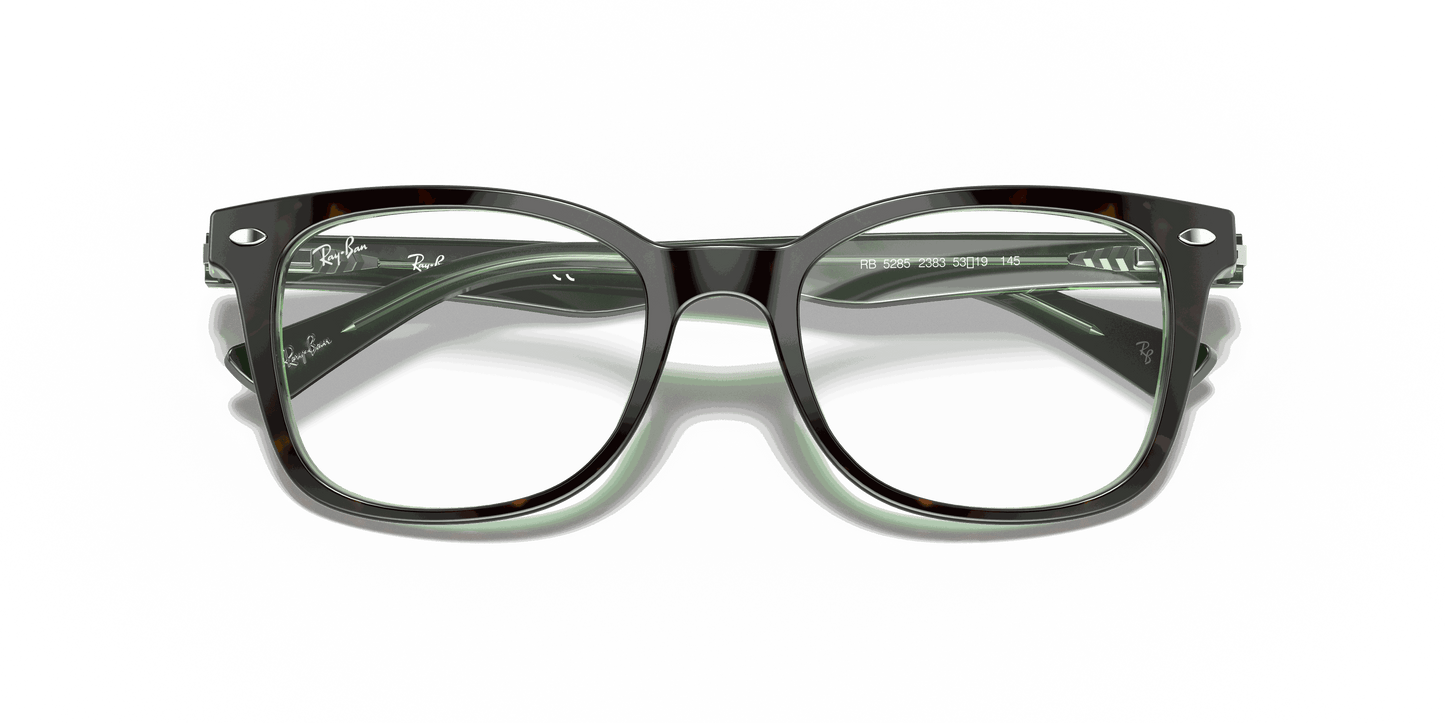 [Clear Lenses, Polished Havana On Green Frame]