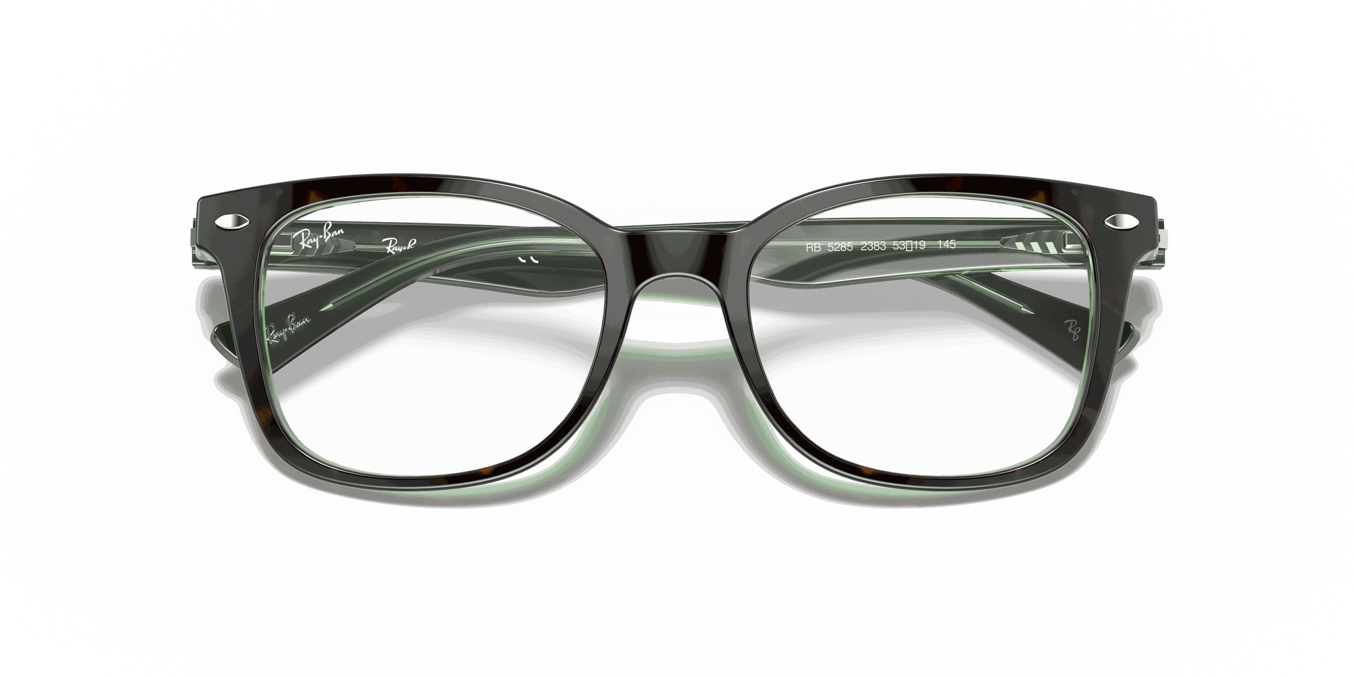 [Clear Lenses, Polished Havana On Green Frame]