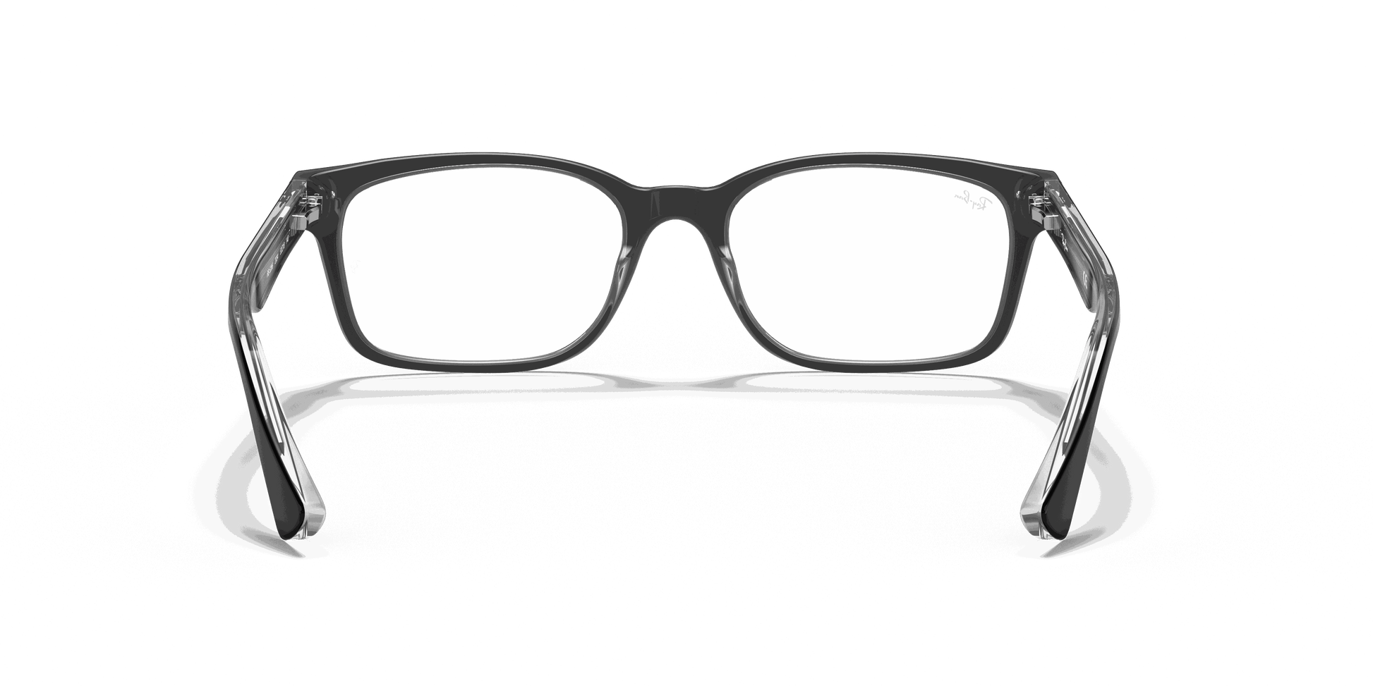 [Clear Lenses, Polished Black On Transparent Frame]