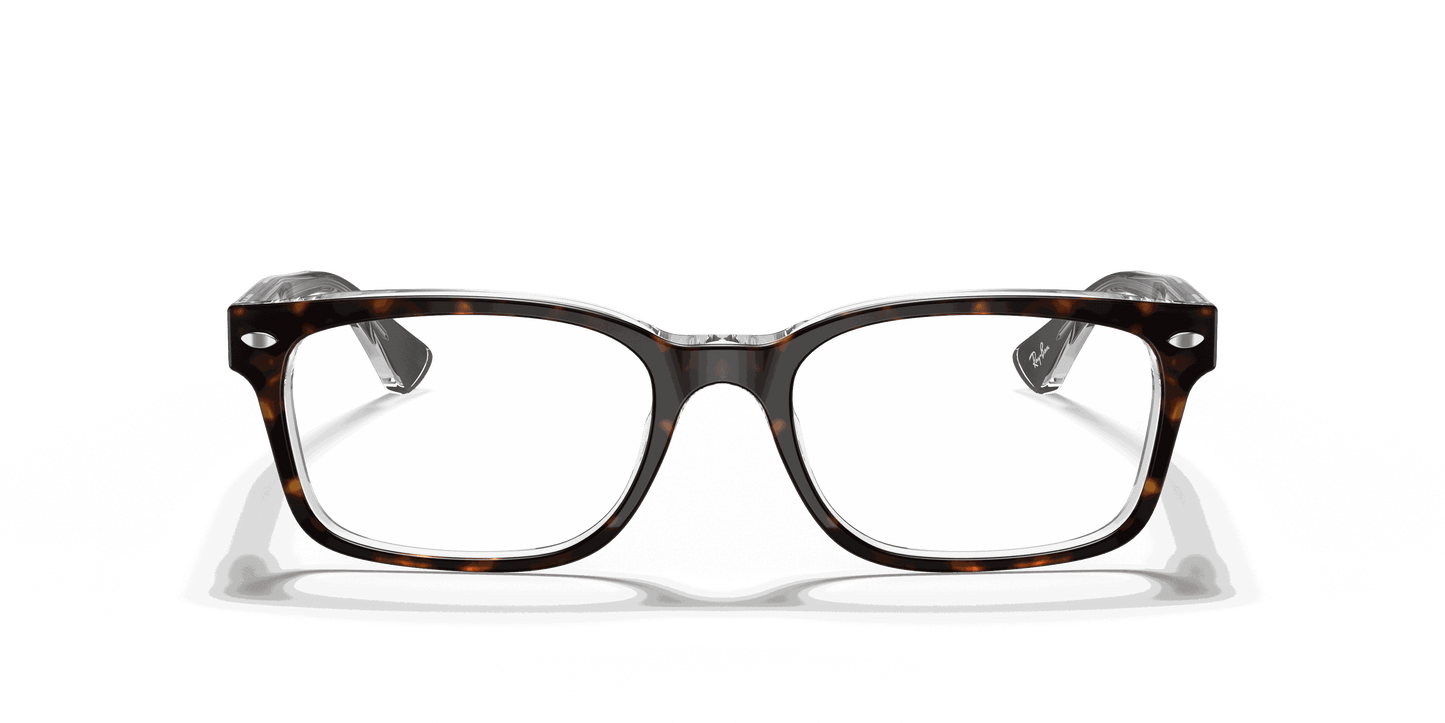 [Clear Lenses, Polished Havana On Transparent Frame]