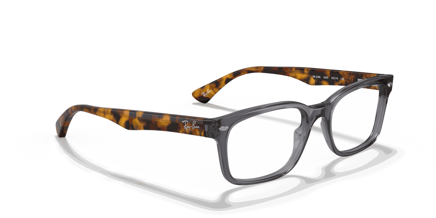 [Clear Lenses, Polished Grey Frame]