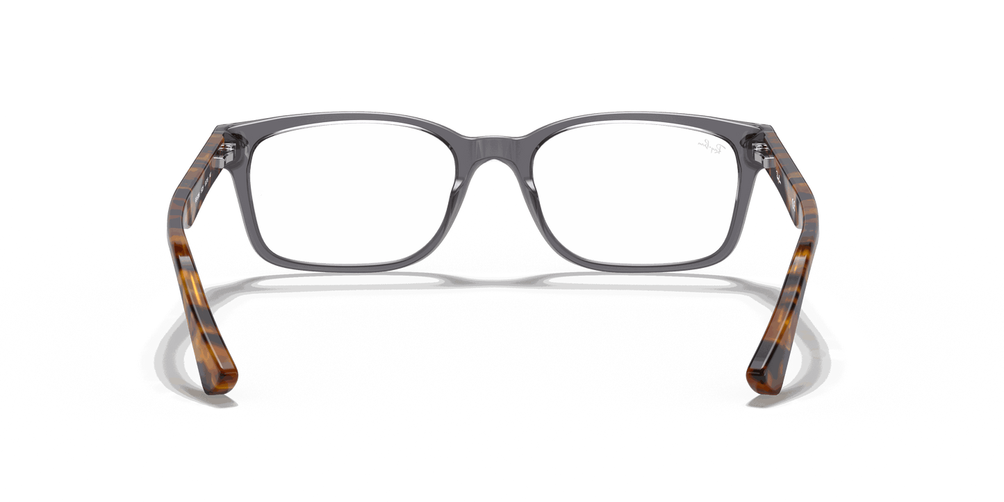 [Clear Lenses, Polished Grey Frame]