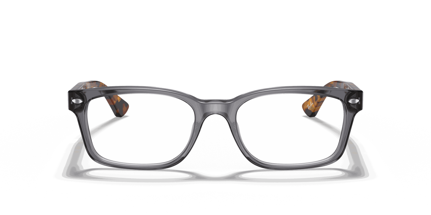 [Clear Lenses, Polished Grey Frame]