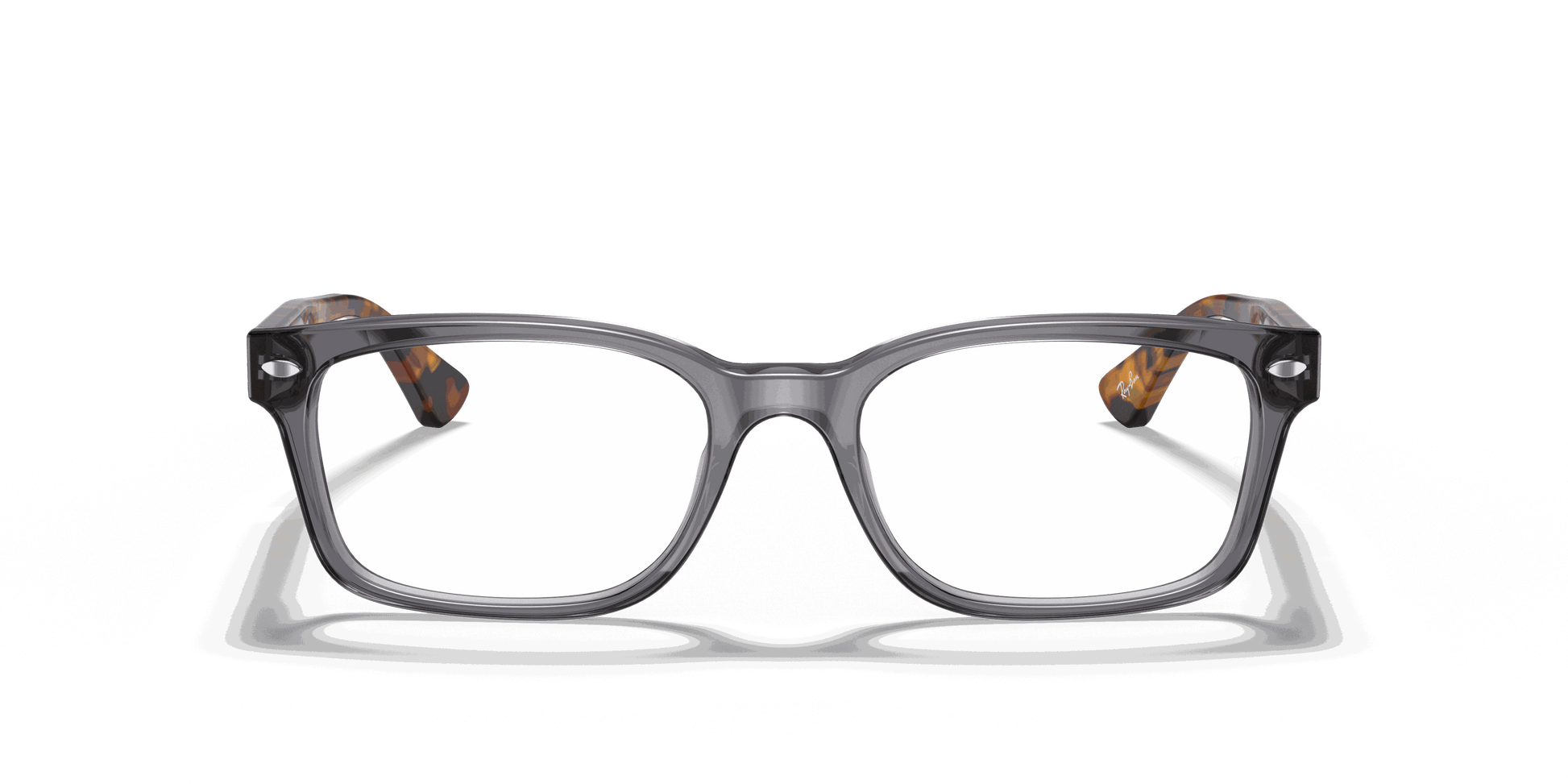 [Clear Lenses, Polished Grey Frame]