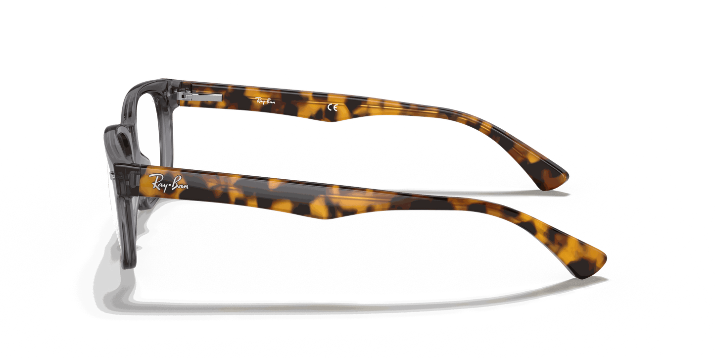 [Clear Lenses, Polished Grey Frame]