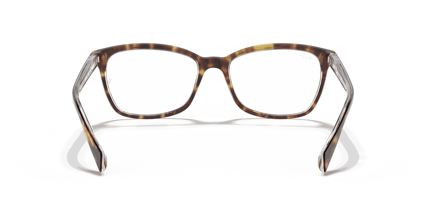[Clear Lenses, Polished Havana On Transparent Frame]