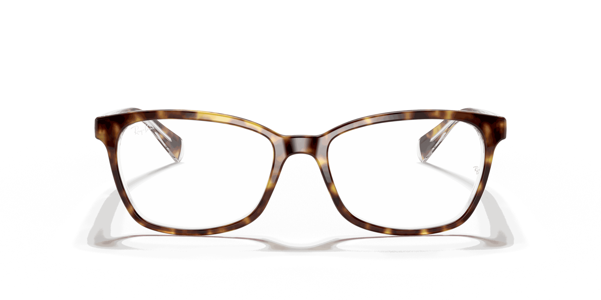[Clear Lenses, Polished Havana On Transparent Frame]