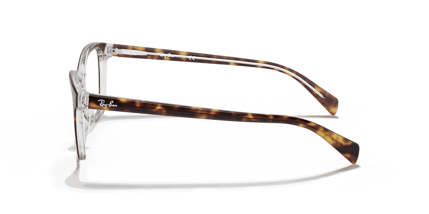 [Clear Lenses, Polished Havana On Transparent Frame]