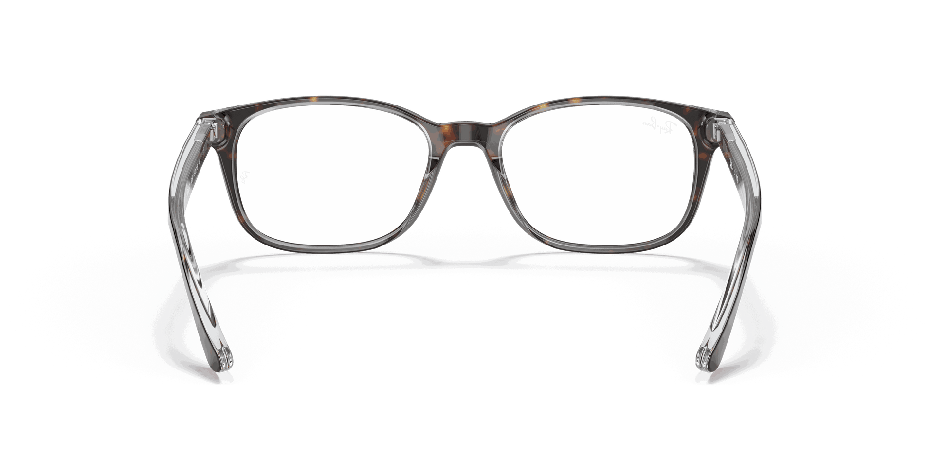 [Clear Lenses, Polished Havana On Transparent Frame]