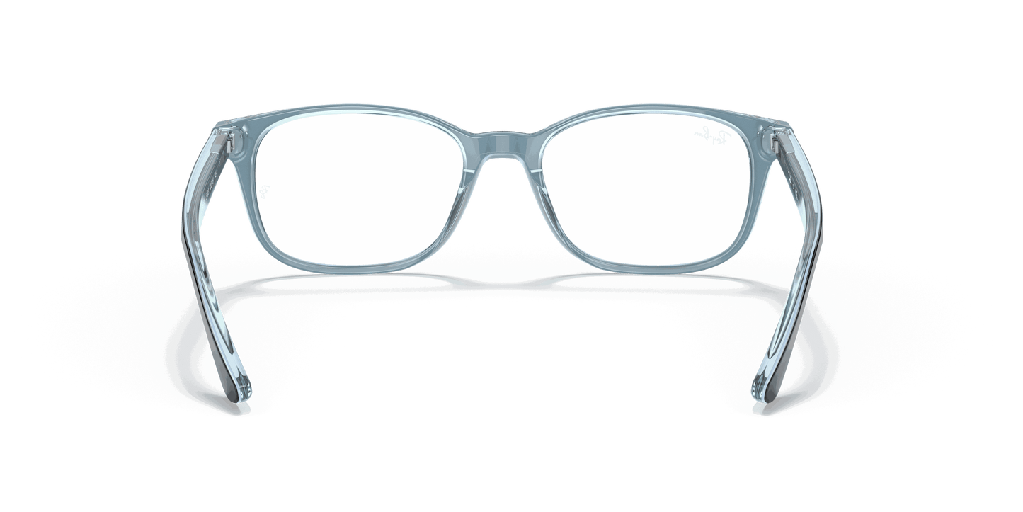 [Clear Lenses, Polished Havana On Light Blue Frame]