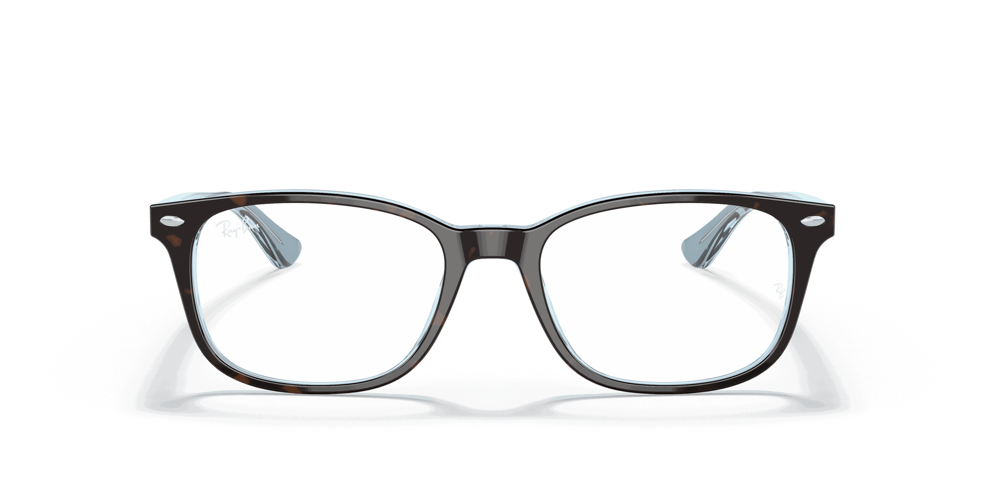 [Clear Lenses, Polished Havana On Light Blue Frame]