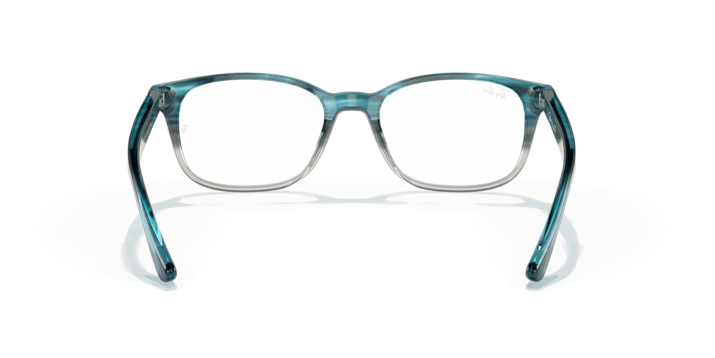 [Clear Lenses, Polished Havana Frame]