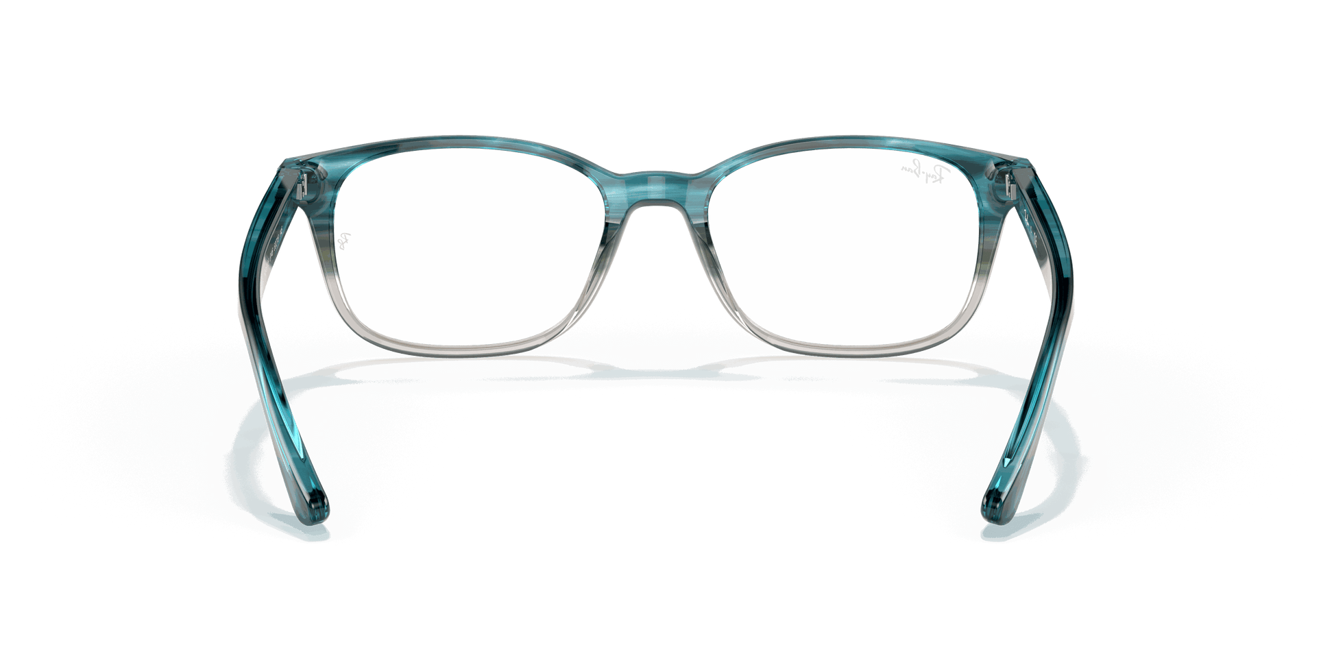 [Clear Lenses, Polished Havana Frame]