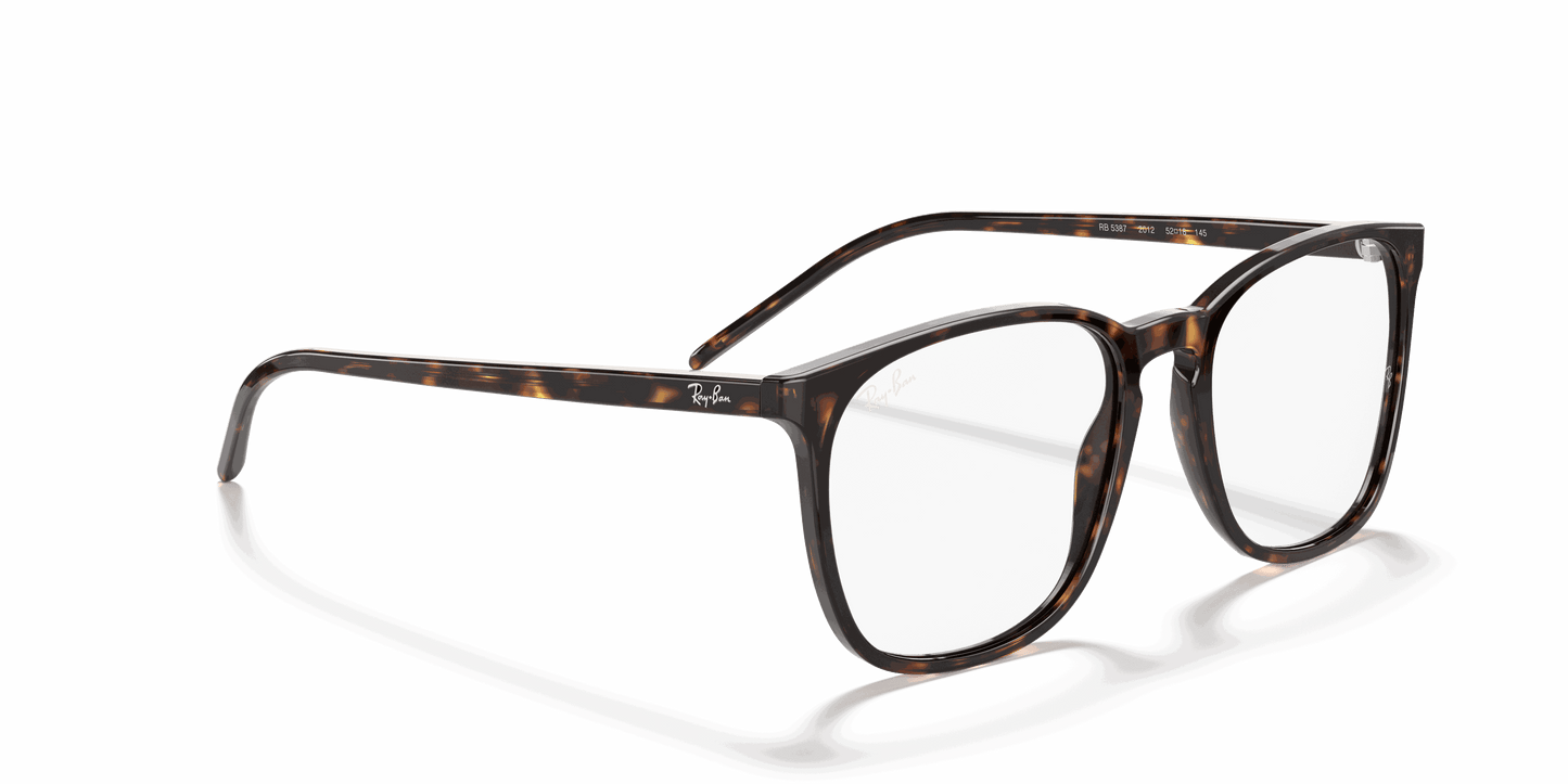 [Clear Lenses, Polished Havana Frame]