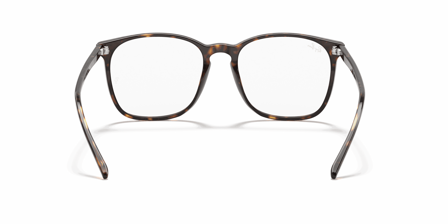 [Clear Lenses, Polished Havana Frame]
