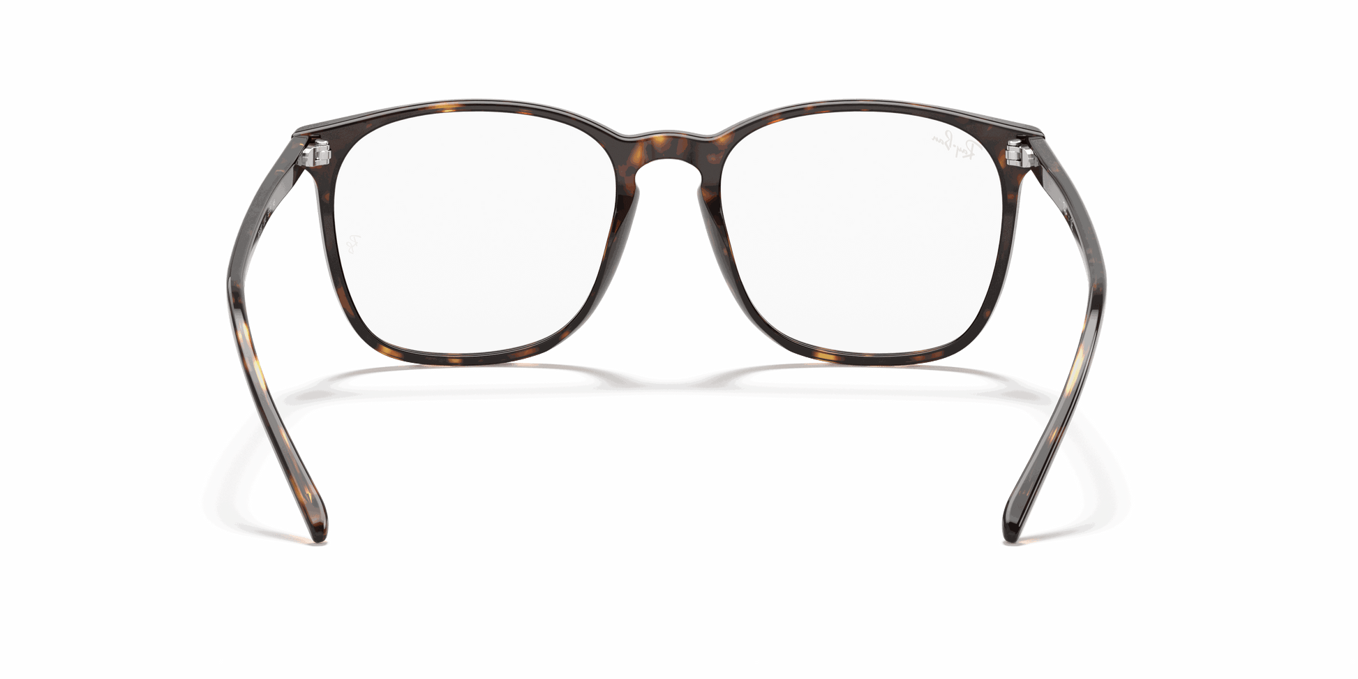 [Clear Lenses, Polished Havana Frame]