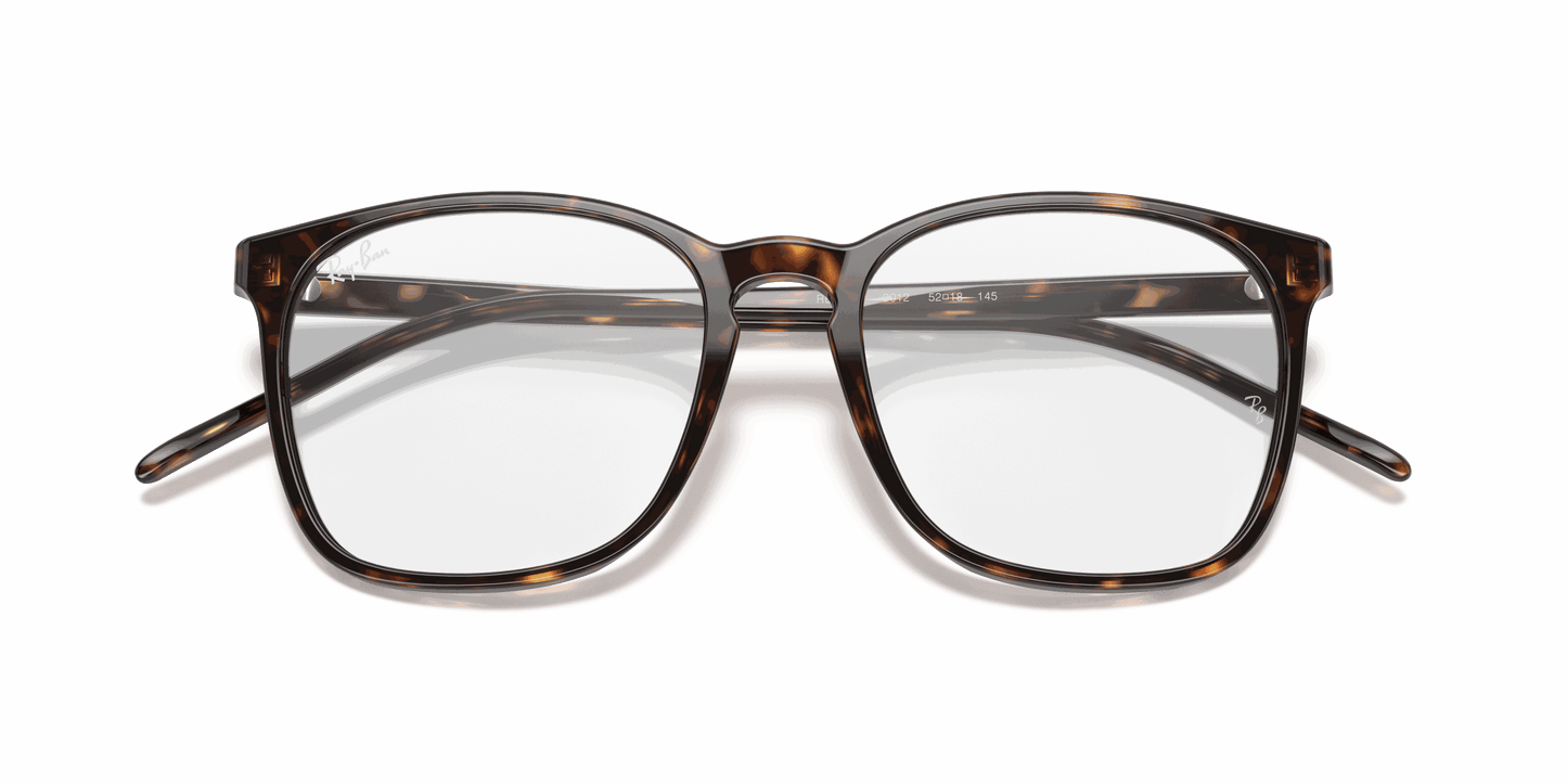[Clear Lenses, Polished Havana Frame]