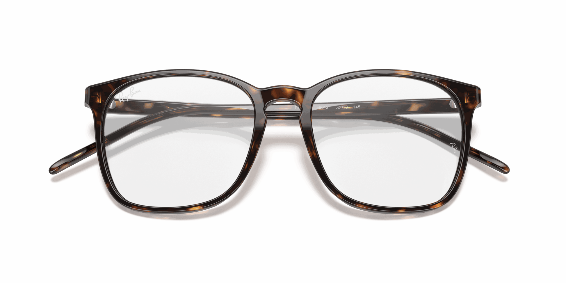 [Clear Lenses, Polished Havana Frame]